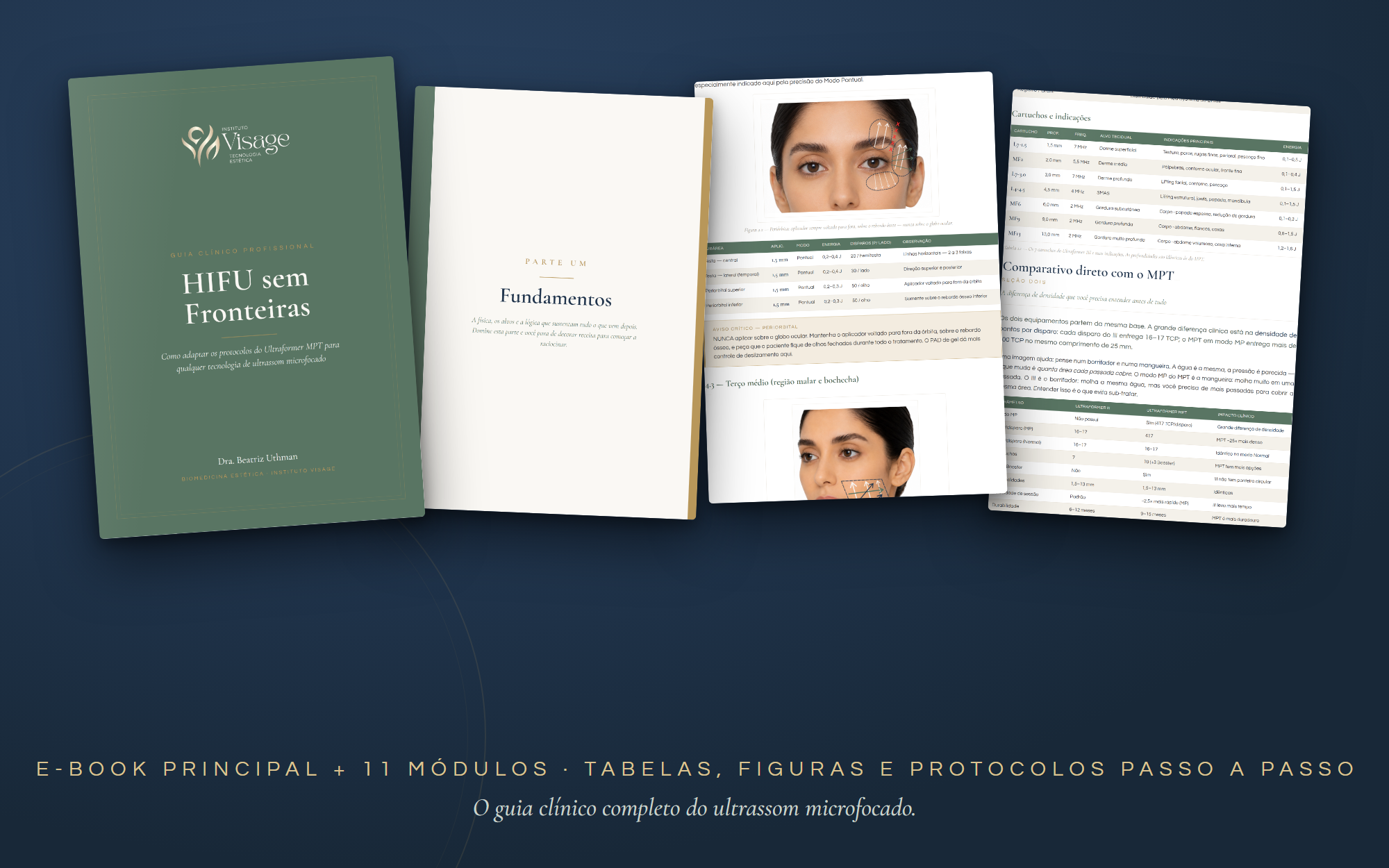 Páginas internas do e-book: tabelas, figuras e protocolos